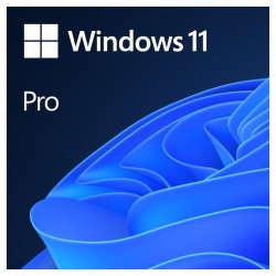 Microsoft Windows 11 Pro 64-bit CZ OEM 1pk DVD